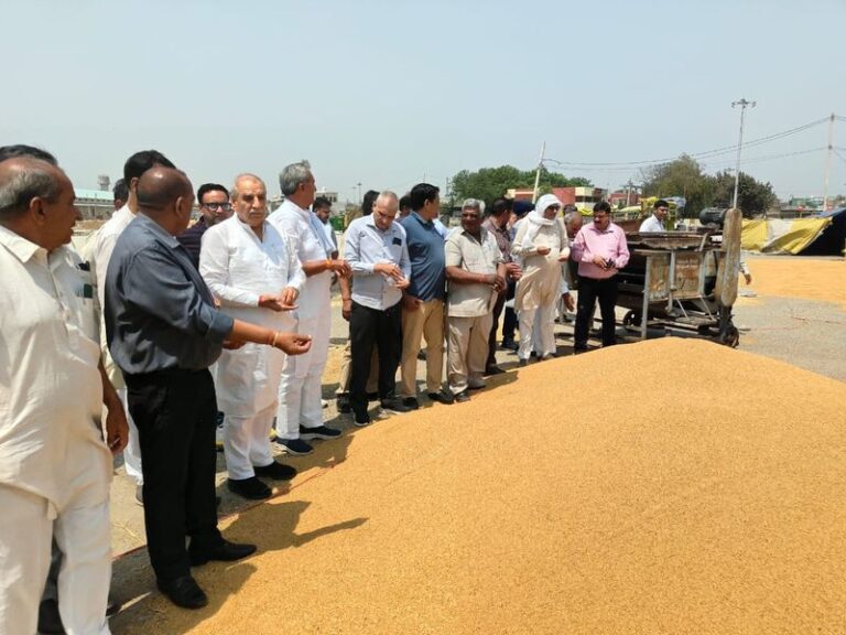 Wheat arrival gains pace in Ambala, Kurukshetra amid uncertain weather conditions