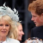 ‘I don’t understand Prince Harry’s anger’: Butler challenges ‘evil stepmother’ Queen Camilla story — What really happened